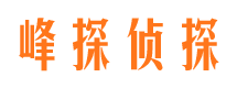 定日侦探